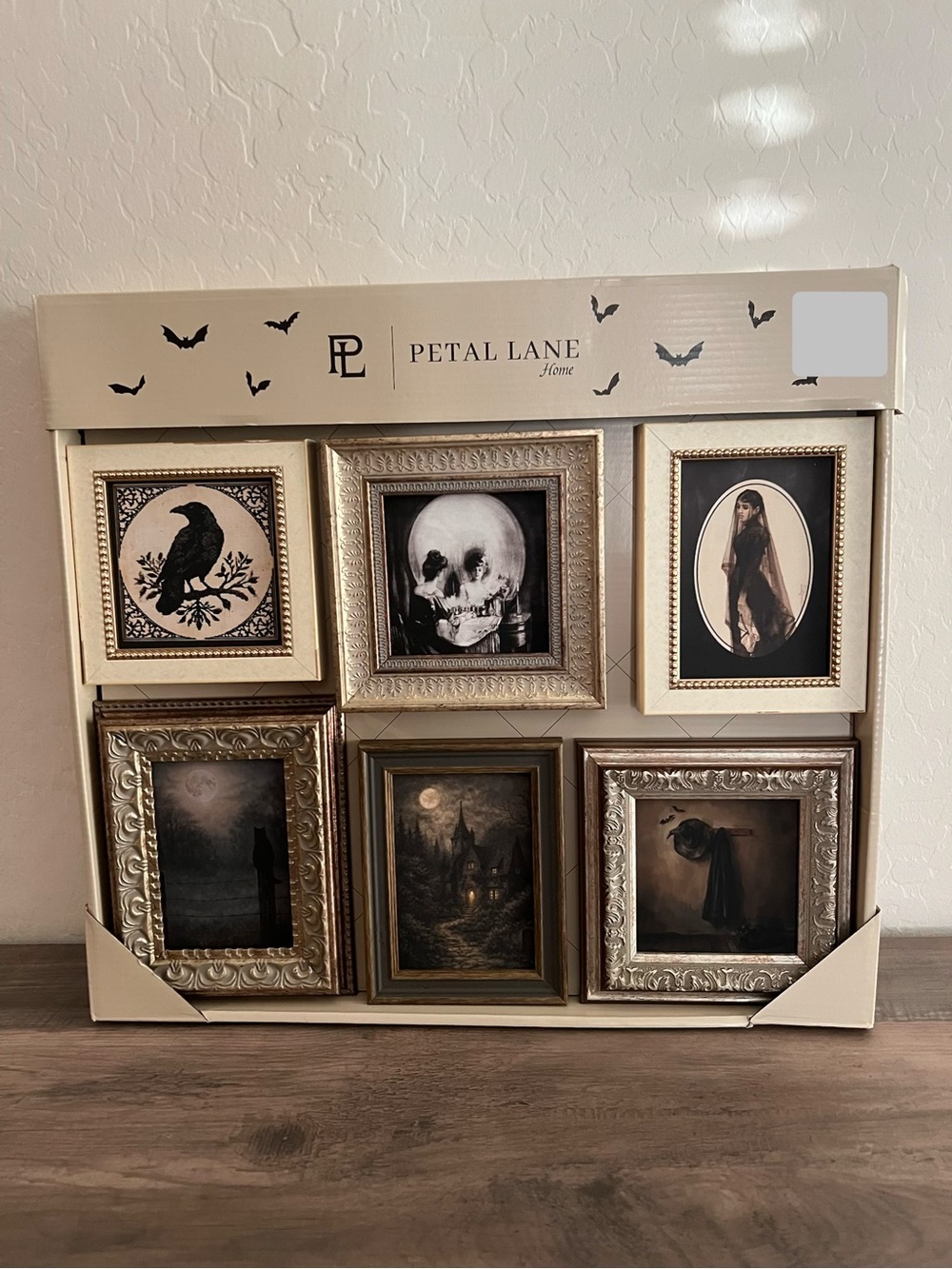 Petal Lane Halloween Gothic Witch Skeleton Wall Art 6pc Set - Black & Gold